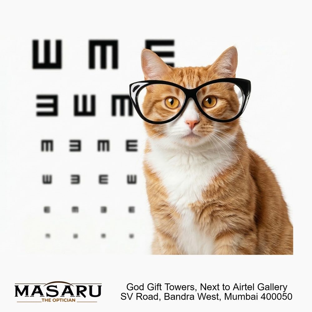A cat wearing black glasses in front of an eye chart